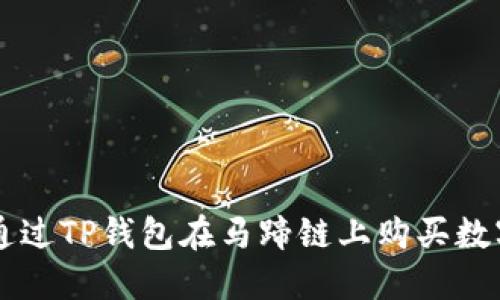 如何通过TP钱包在马蹄链上购买数字货币